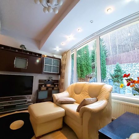 Marble Villa: Luxury Estate - Central But Intimate Sinaia Ngoại thất bức ảnh