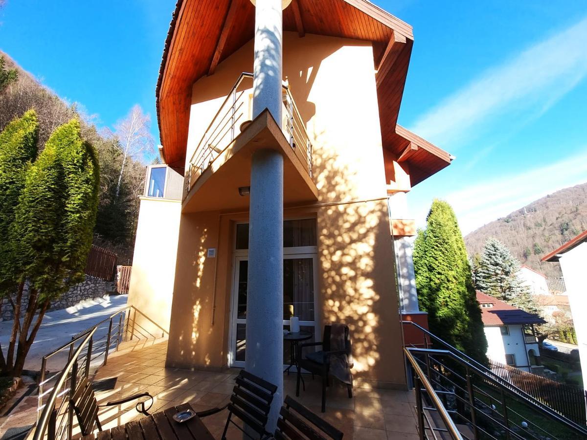 Marble Villa: Luxury Estate - Central But Intimate Sinaia Ngoại thất bức ảnh