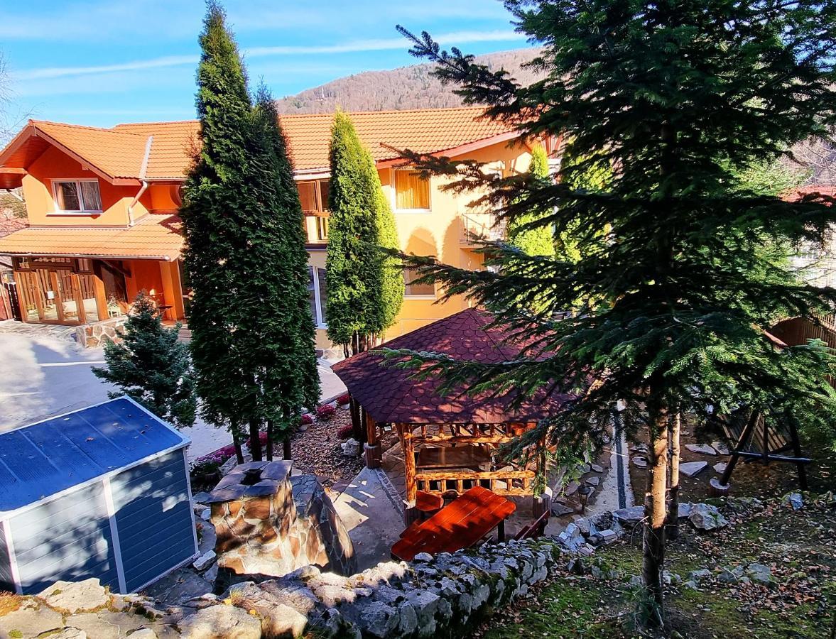 Marble Villa: Luxury Estate - Central But Intimate Sinaia Ngoại thất bức ảnh