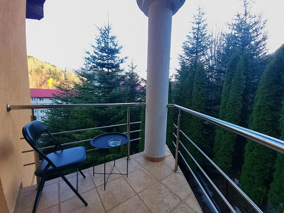 Marble Villa: Luxury Estate - Central But Intimate Sinaia Ngoại thất bức ảnh