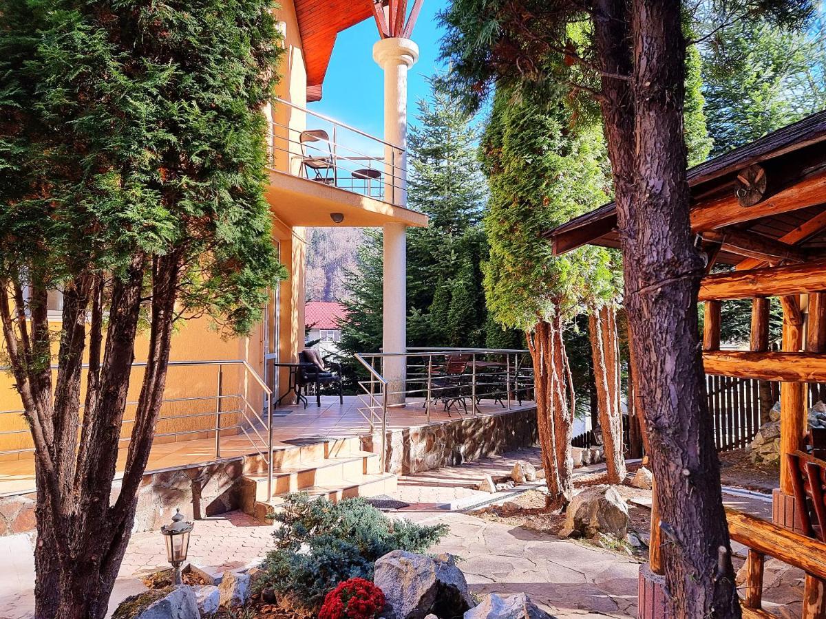 Marble Villa: Luxury Estate - Central But Intimate Sinaia Ngoại thất bức ảnh