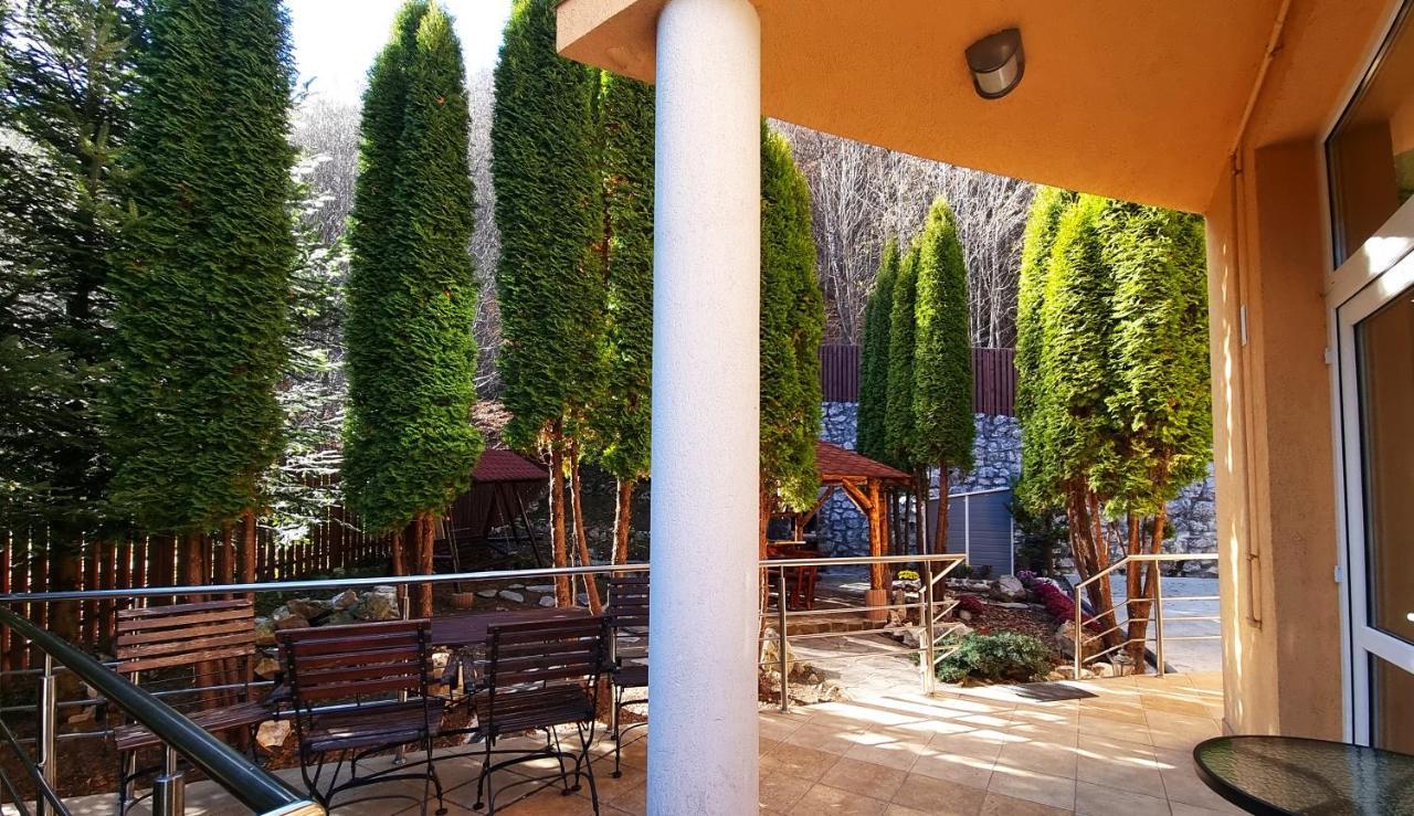 Marble Villa: Luxury Estate - Central But Intimate Sinaia Ngoại thất bức ảnh