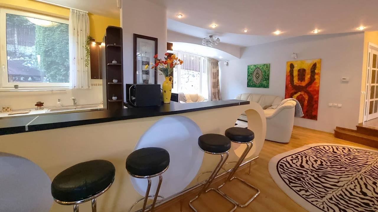 Marble Villa: Luxury Estate - Central But Intimate Sinaia Ngoại thất bức ảnh