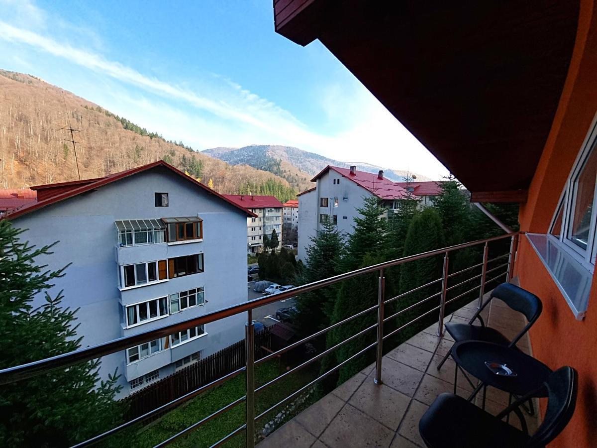 Marble Villa: Luxury Estate - Central But Intimate Sinaia Ngoại thất bức ảnh