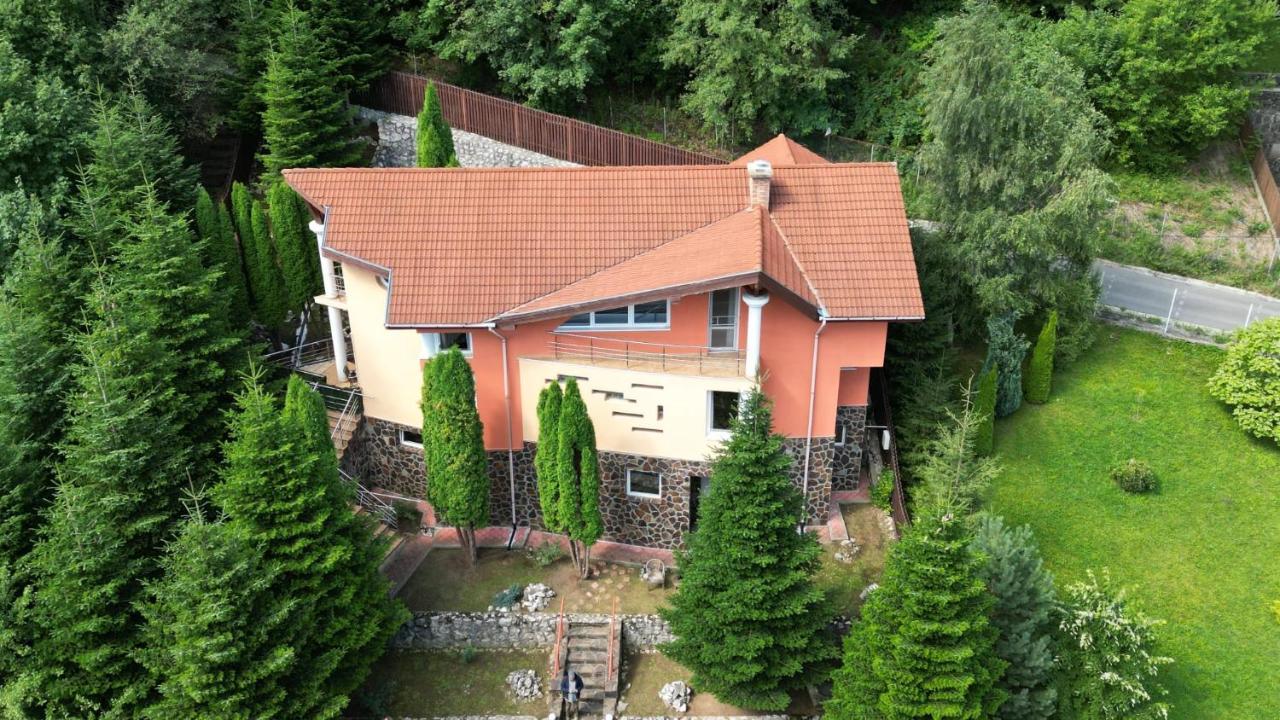 Marble Villa: Luxury Estate - Central But Intimate Sinaia Ngoại thất bức ảnh